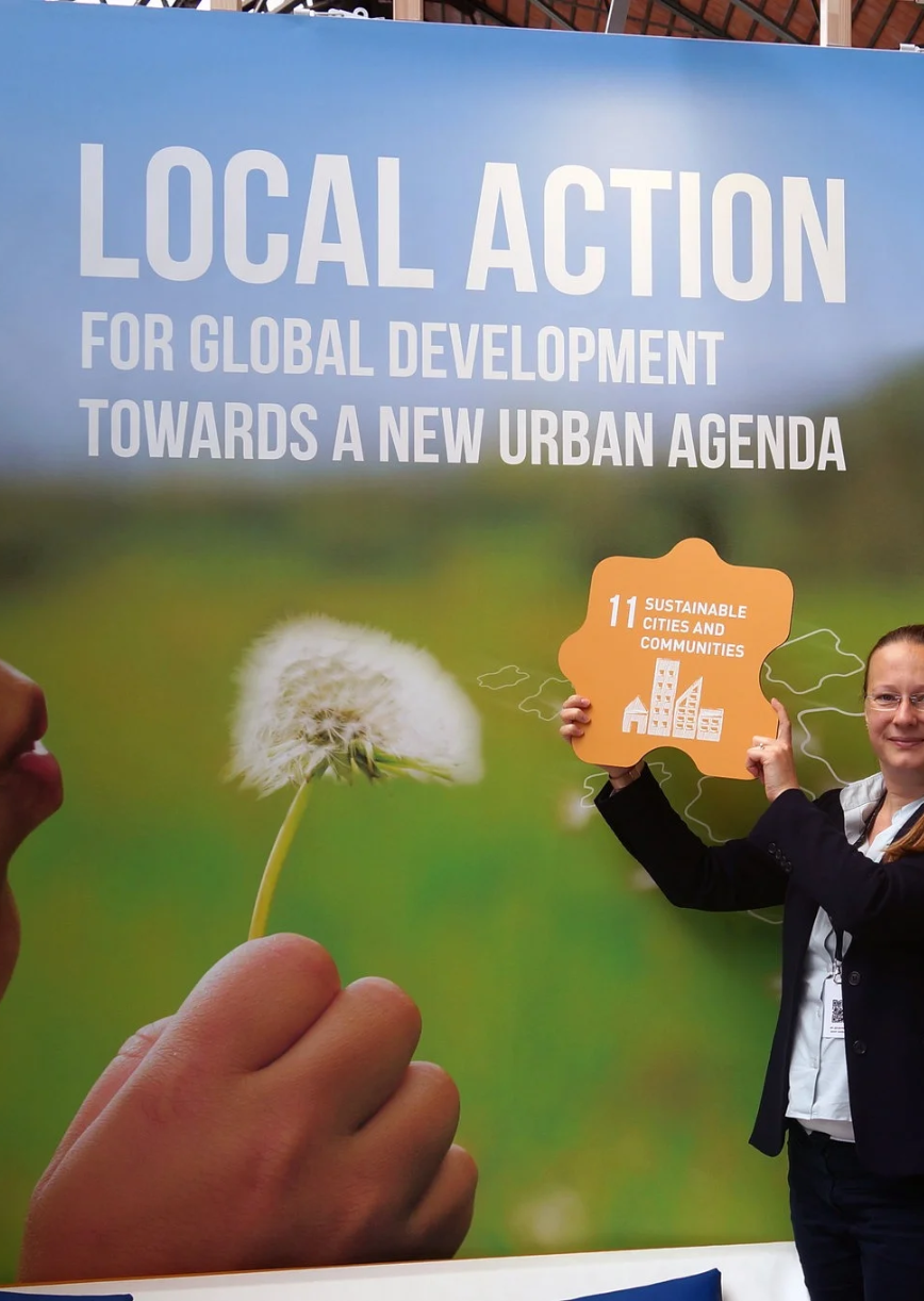 Africa Voluntary Local Review Guidelines