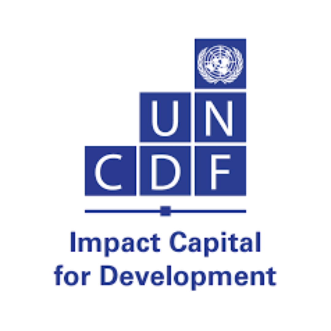 UNCDF logo