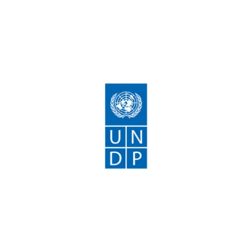 UNDP logo